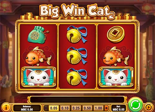 Big Win Cat spillemaskine fra Play'n GO spiludbyder.