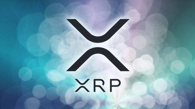 XRP-understøttelse